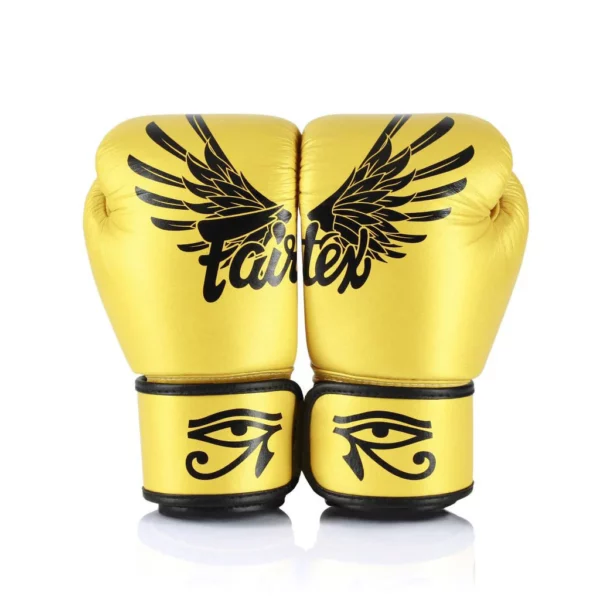 Gants de boxe Fairtex FALCON