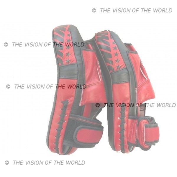 Mitaines Twins PML 19 muay thai kick boxing mma boxe anglaise boxe thai boxe pieds-poings