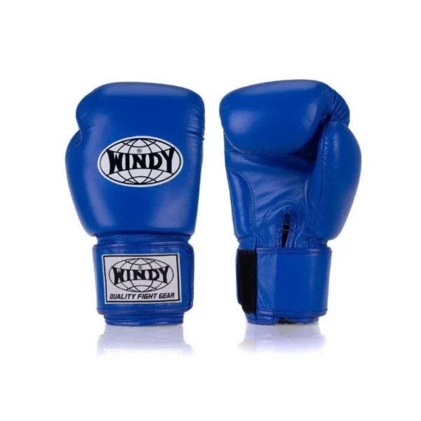 Gants de boxe Windy blue