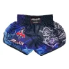 Short Arwut Sublimation Nanopoly - vue de face